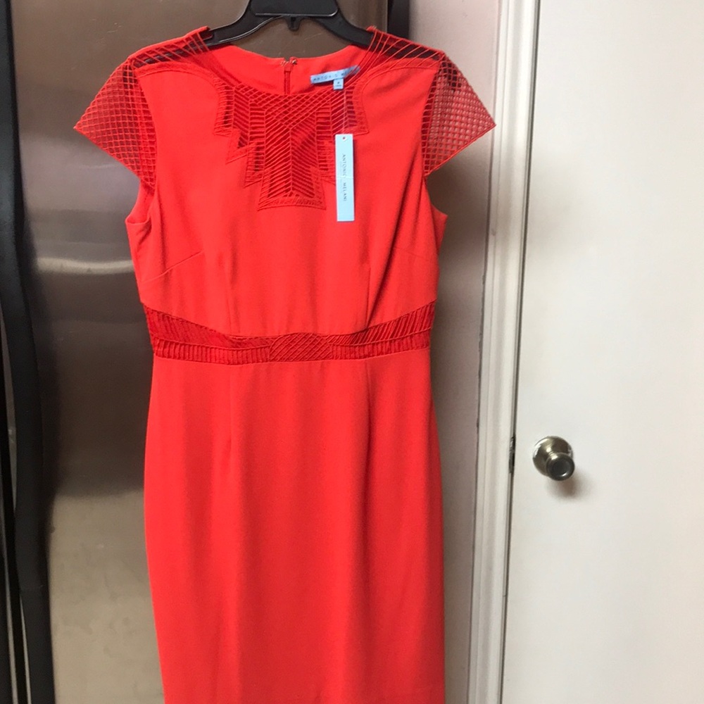 Dress Antonio Melani